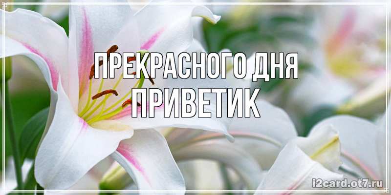 Картинка Прекрасного дня, приветик