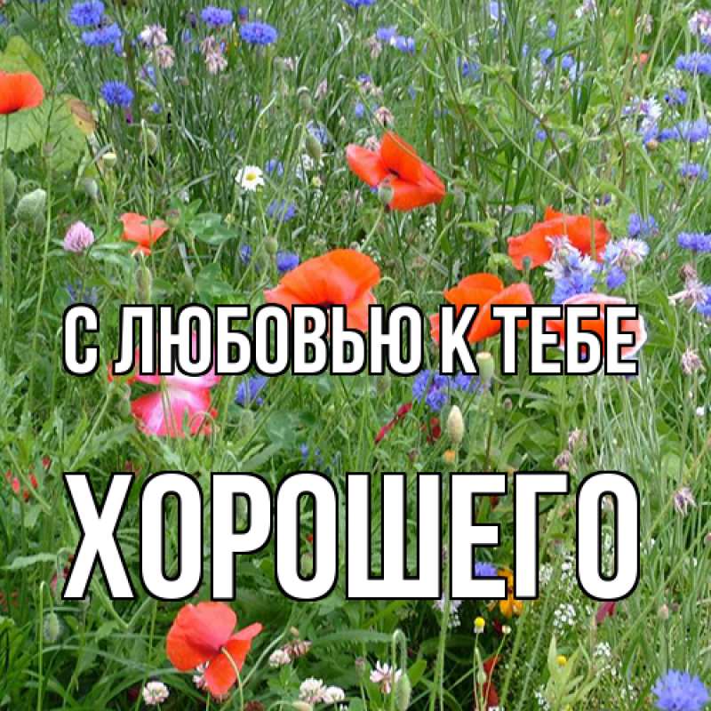 Картинка С любовью к тебе, Хорошего