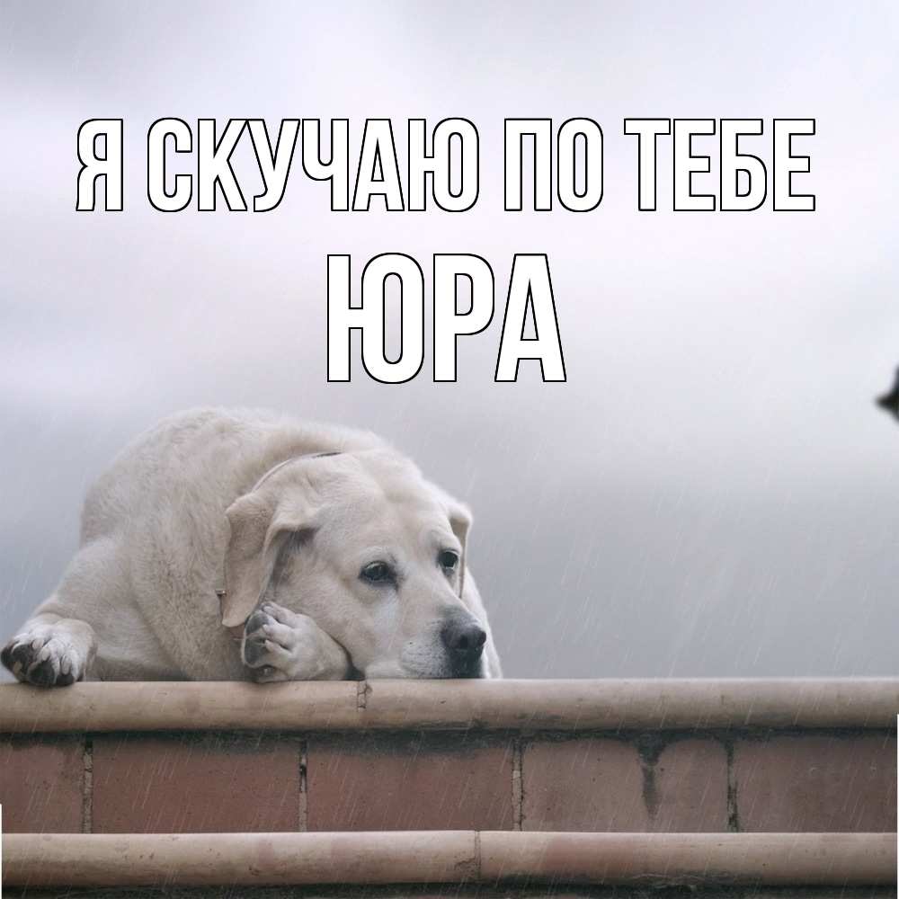 Открытка  с именем. ЮРА, Я скучаю по тебе  
