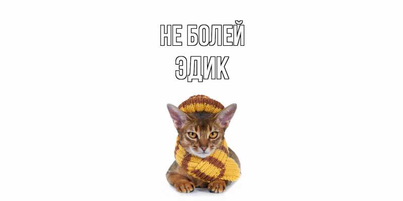 Картинка Не болей, Эдик