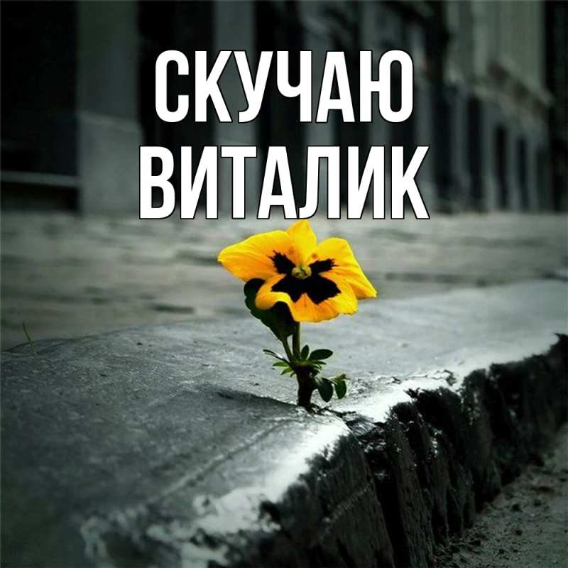 Картинка Скучаю, Виталик