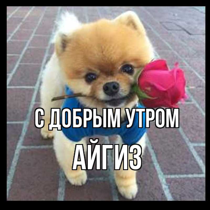 Открытка с именем, Айгиз, С добрым утром