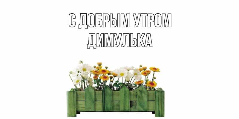 Картинка С добрым утром, Димулька