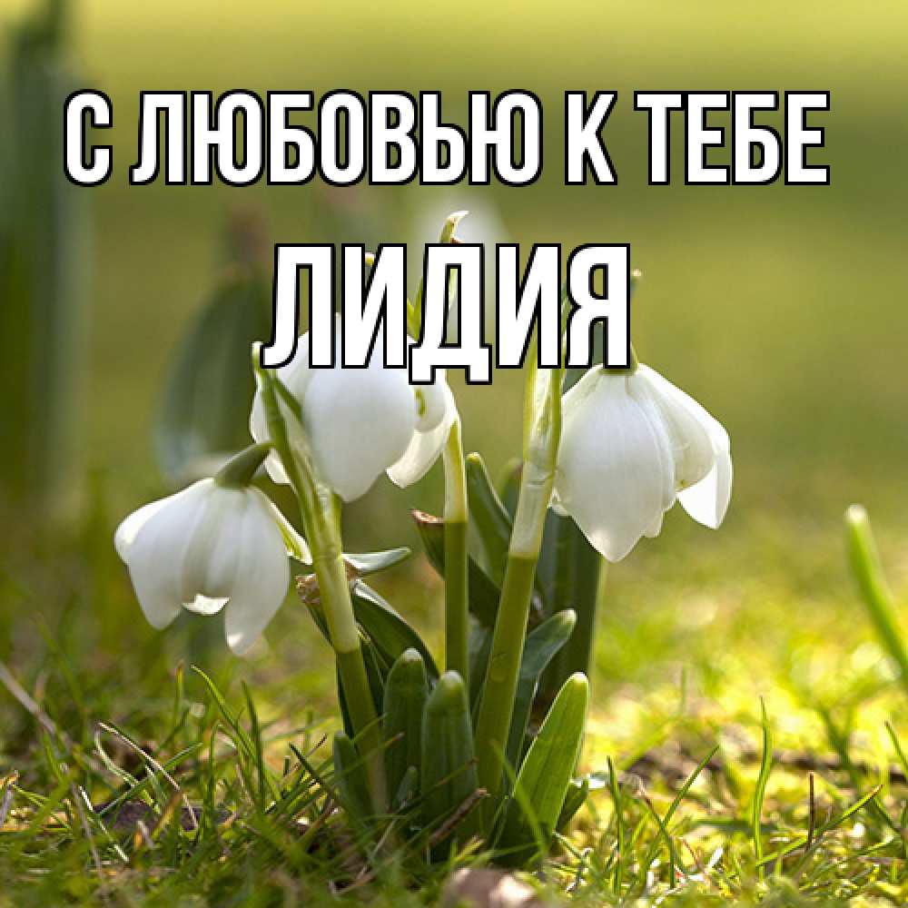 Открытка  с именем. лидия, С любовью к тебе  