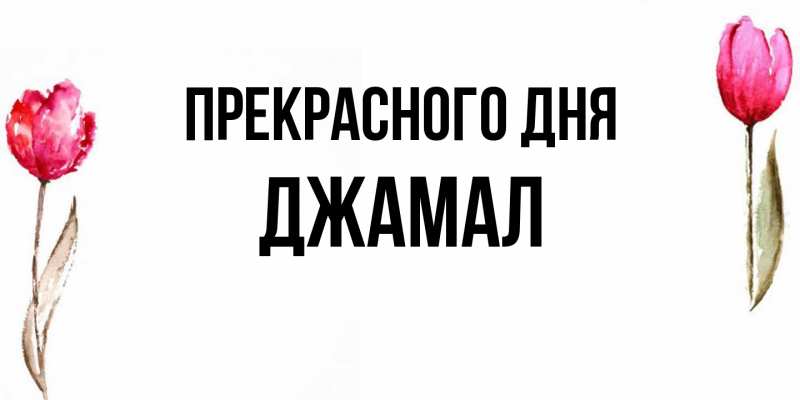 Картинка Прекрасного дня, Джамал