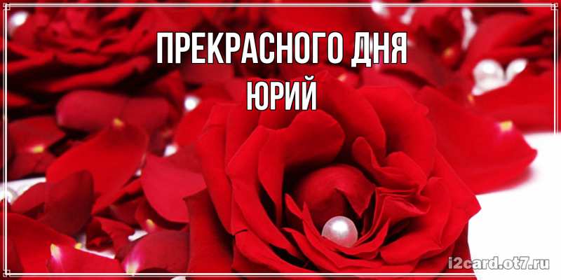 Картинка Прекрасного дня, Юрий