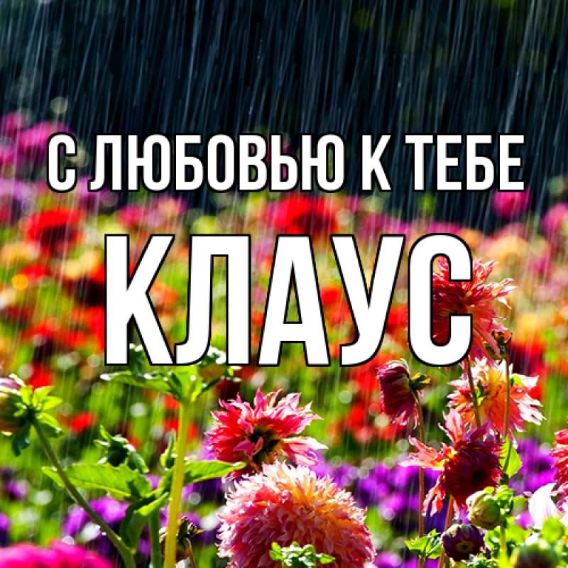 Картинка С любовью к тебе, Клаус