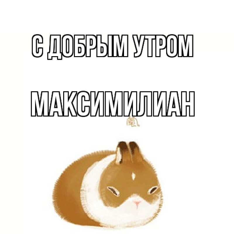 Картинка С добрым утром, Максимилиан