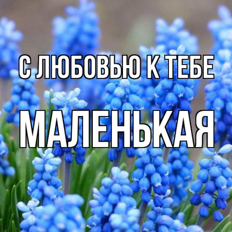 Картинка С любовью к тебе, Маленькая