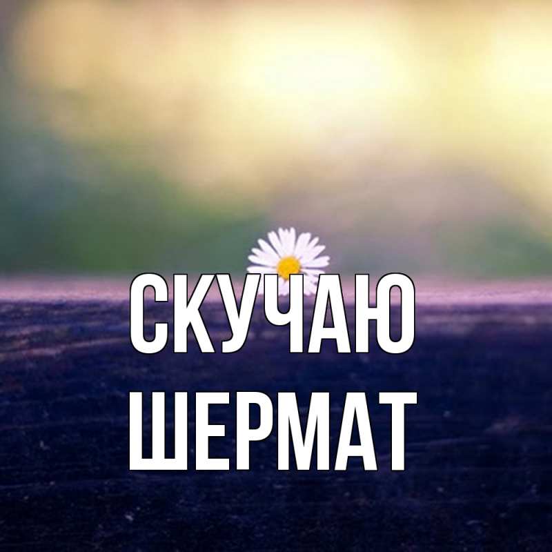 Картинка Скучаю, Шермат