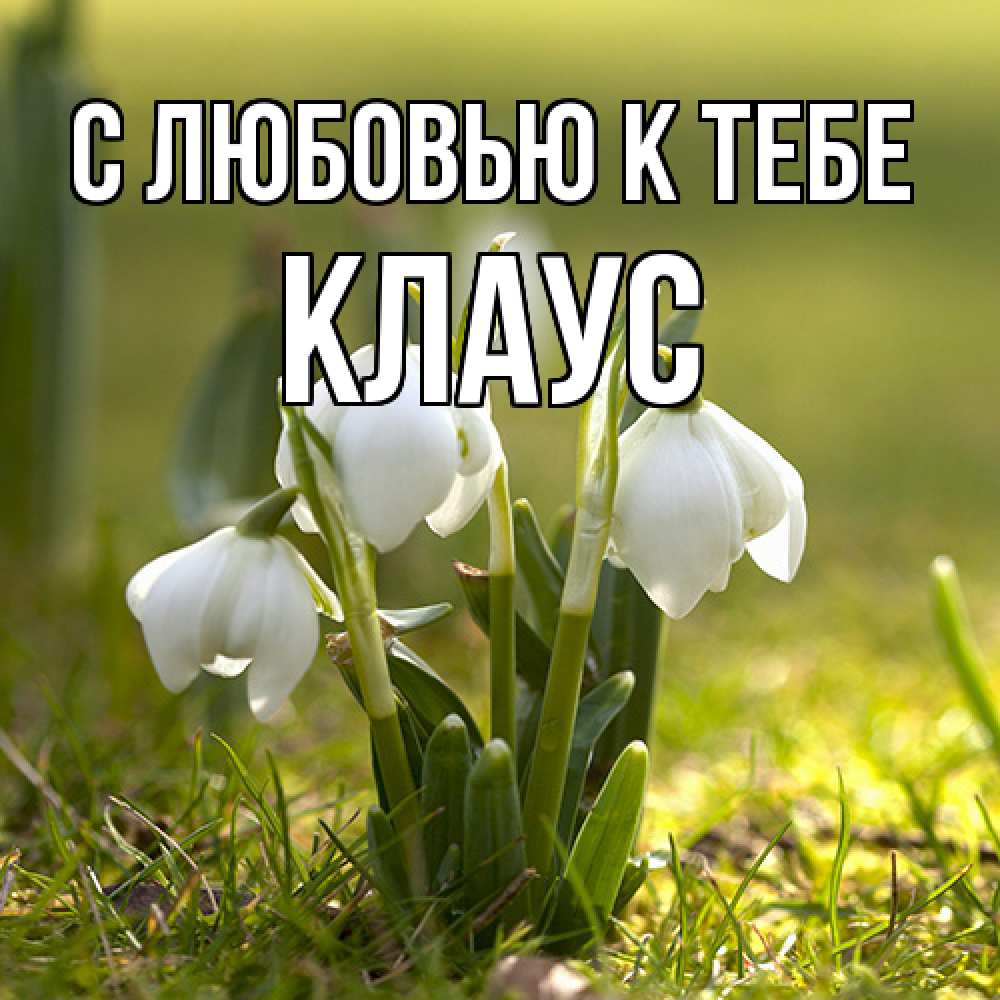 Открытка  с именем. Клаус, С любовью к тебе  