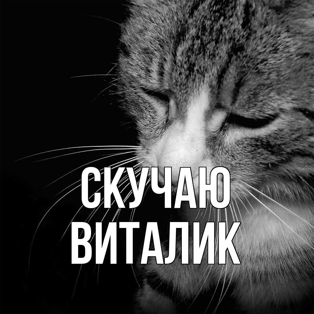 Открытка  с именем. Виталик, Скучаю  