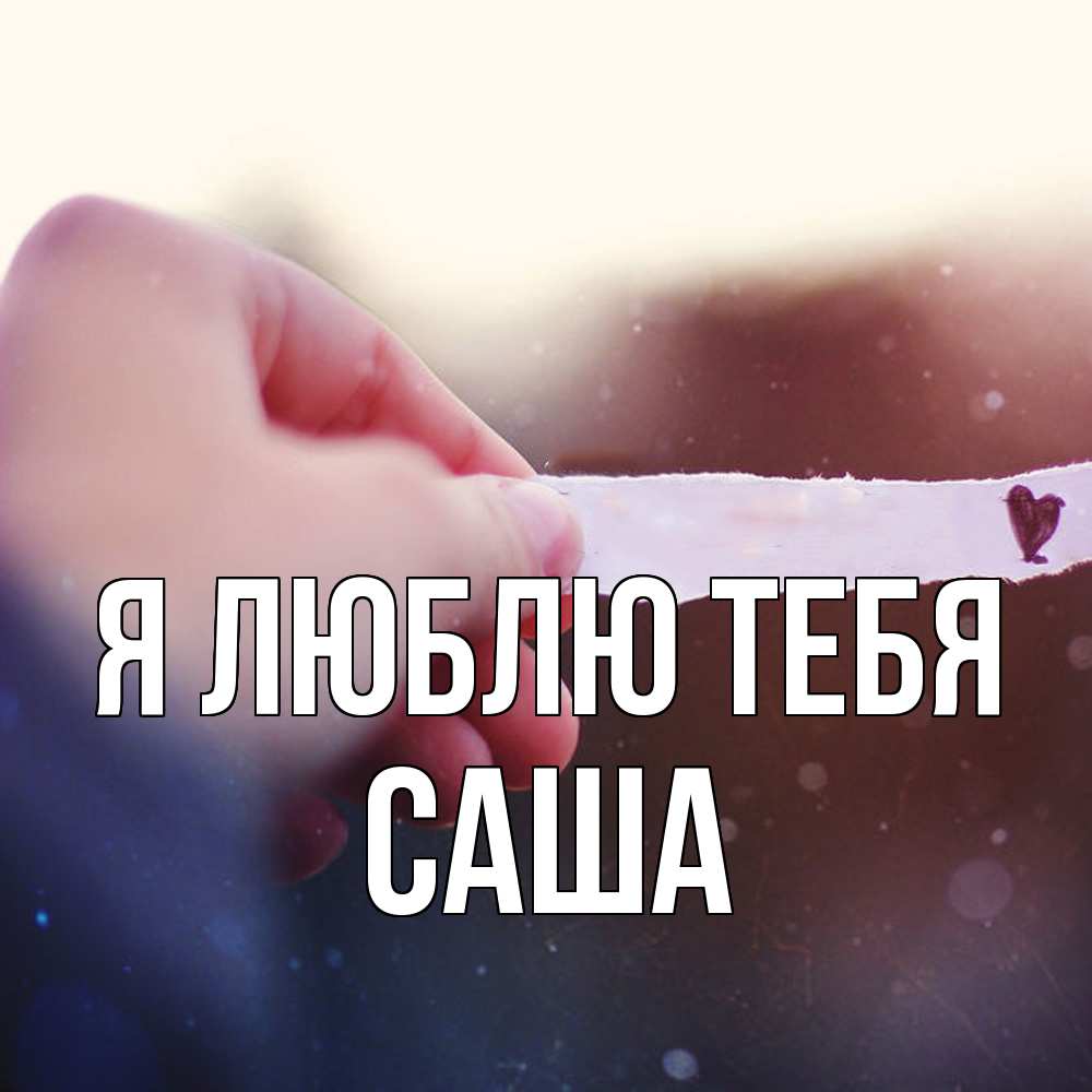 Открытка  с именем. Саша, Я люблю тебя  
