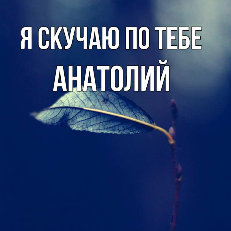 Картинка Я скучаю по тебе, Анатолий