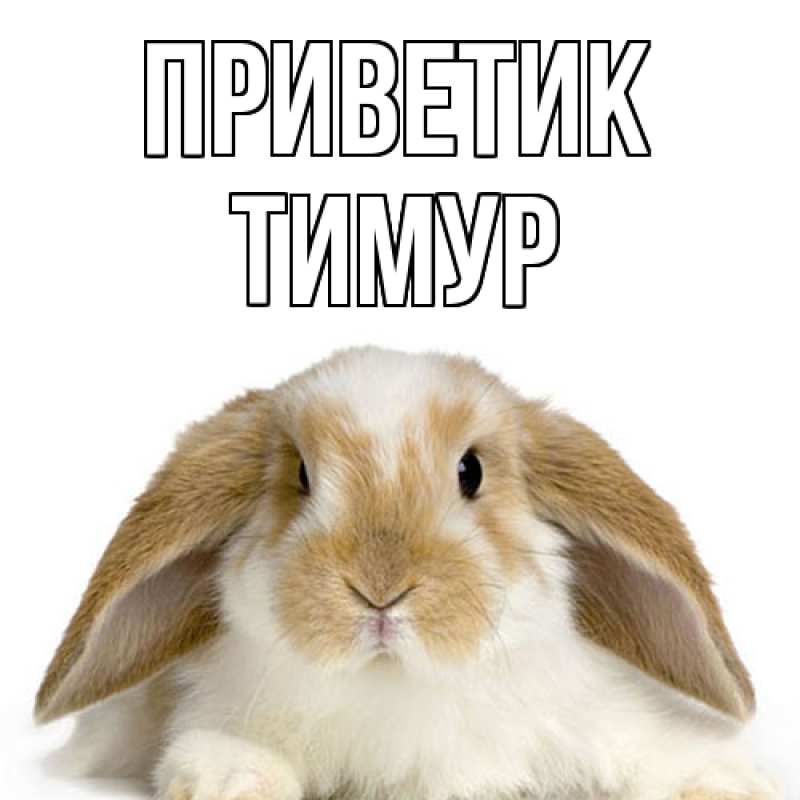 Открытка с именем, Тимур, приветик