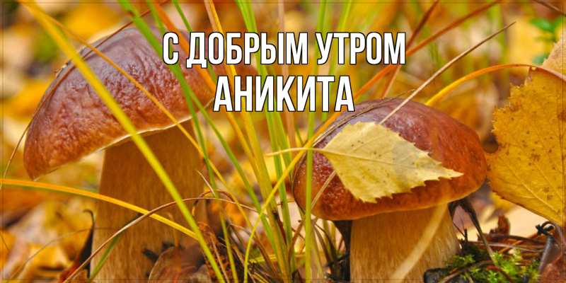Картинка С добрым утром, Аникита