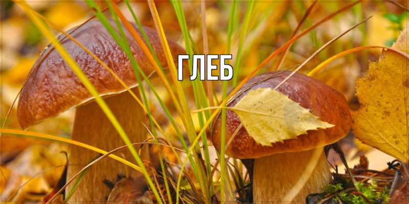 Открытка с именем, Глеб, 