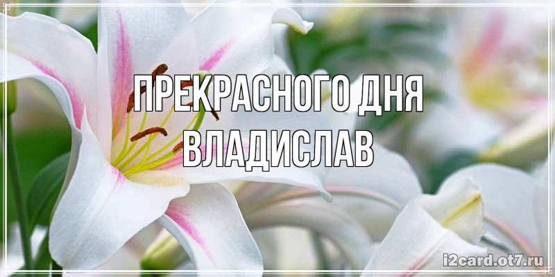Картинка Прекрасного дня, Владислав