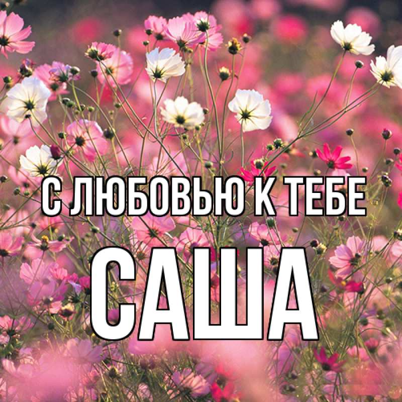 Картинка С любовью к тебе, Саша