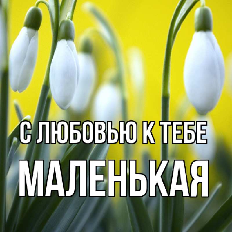 Картинка С любовью к тебе, Маленькая