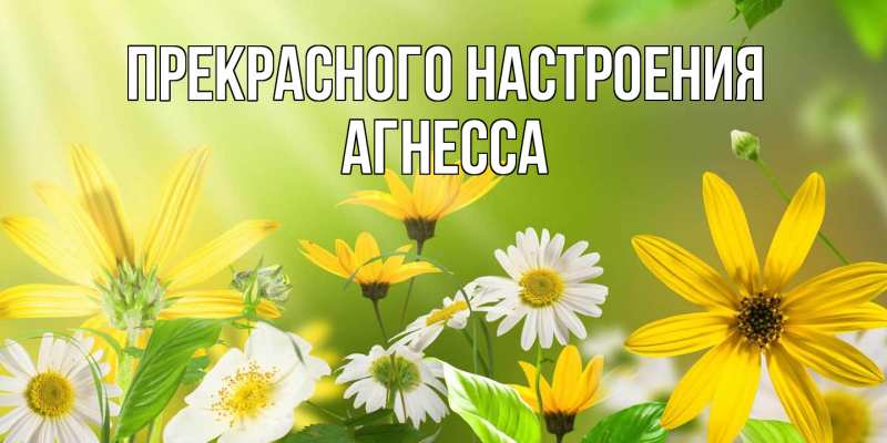 Открытка с именем, Агнесса, Прекрасного настроения