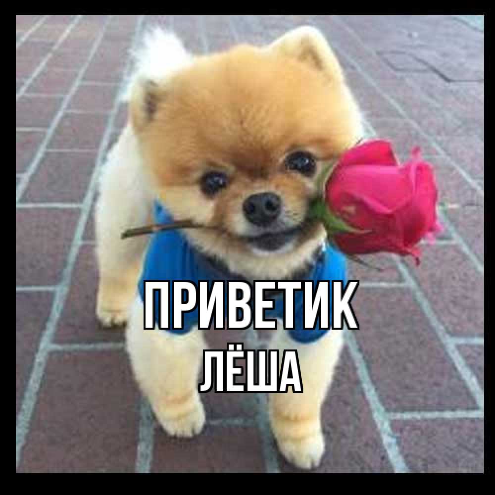 Открытка  с именем. Лёша, приветик  