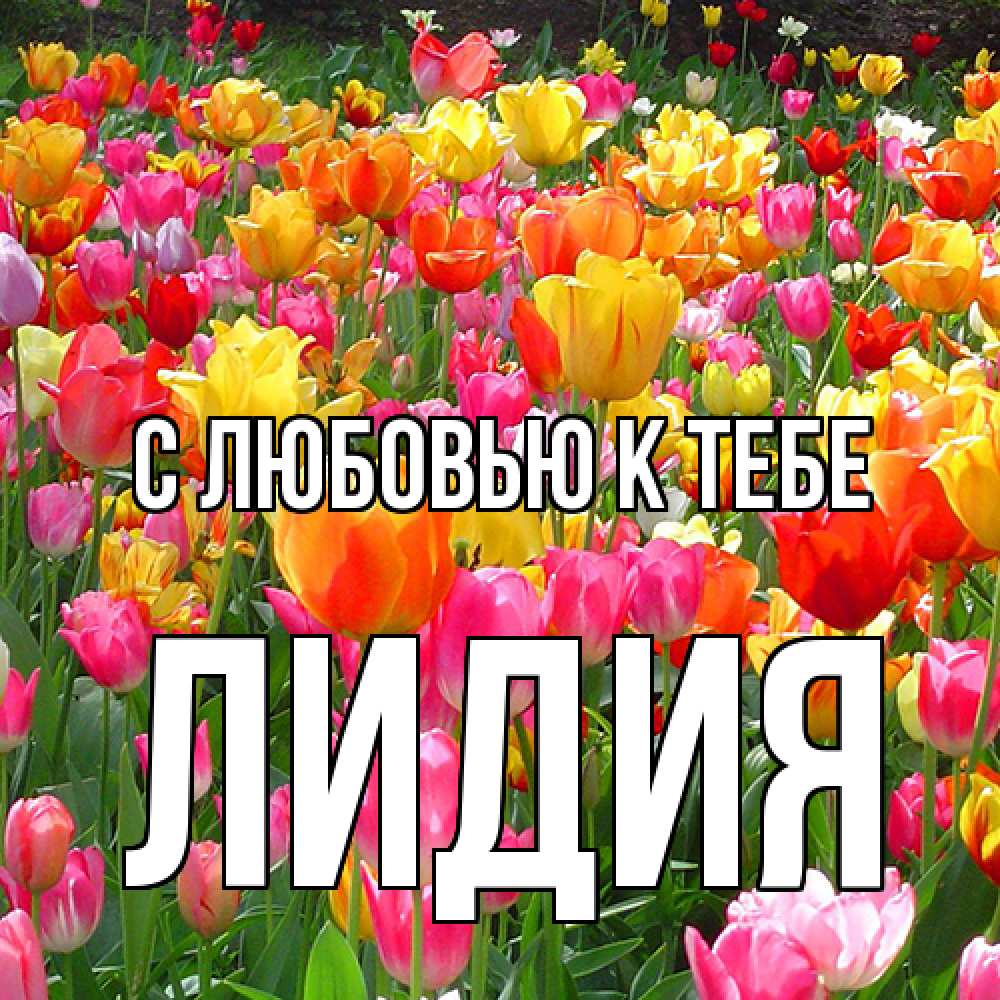 Открытка  с именем. лидия, С любовью к тебе  
