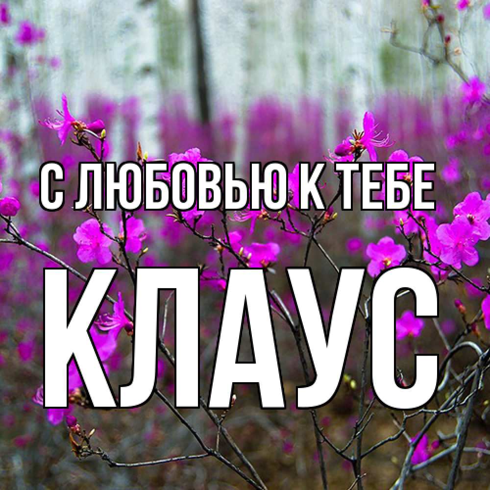 Открытка  с именем. Клаус, С любовью к тебе  