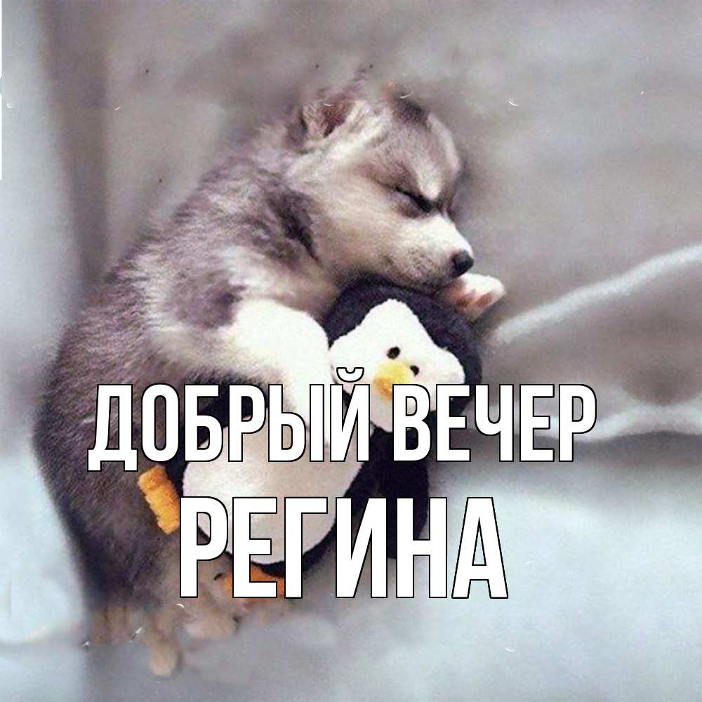 Открытка  с именем. Регина, Добрый вечер  