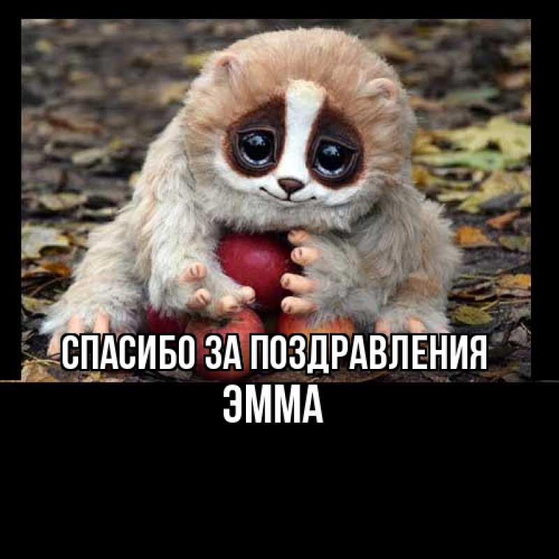 Открытка с именем, Эмма, Спасибо за поздравления