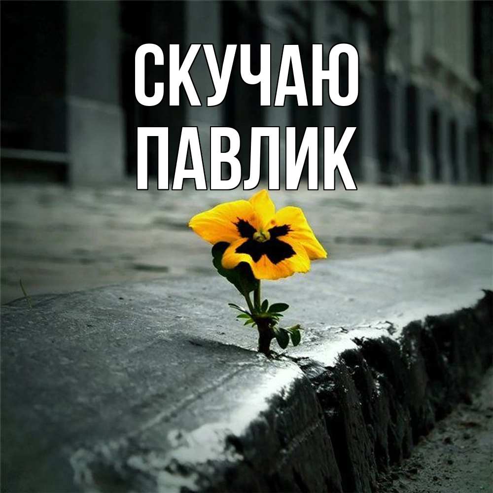 Открытка  с именем. Павлик, Скучаю  