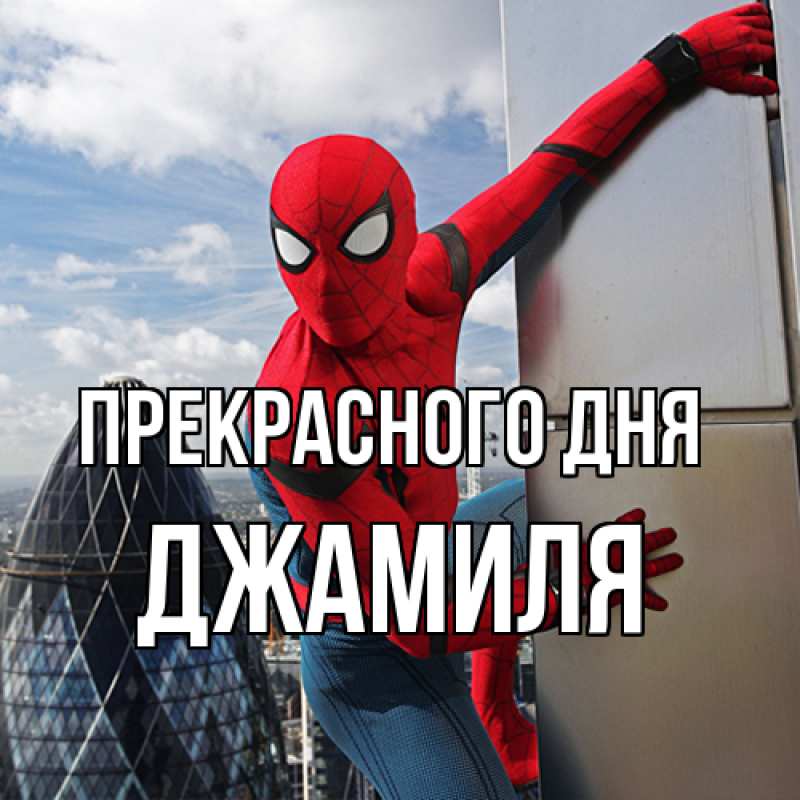 Картинка Прекрасного дня, Джамиля