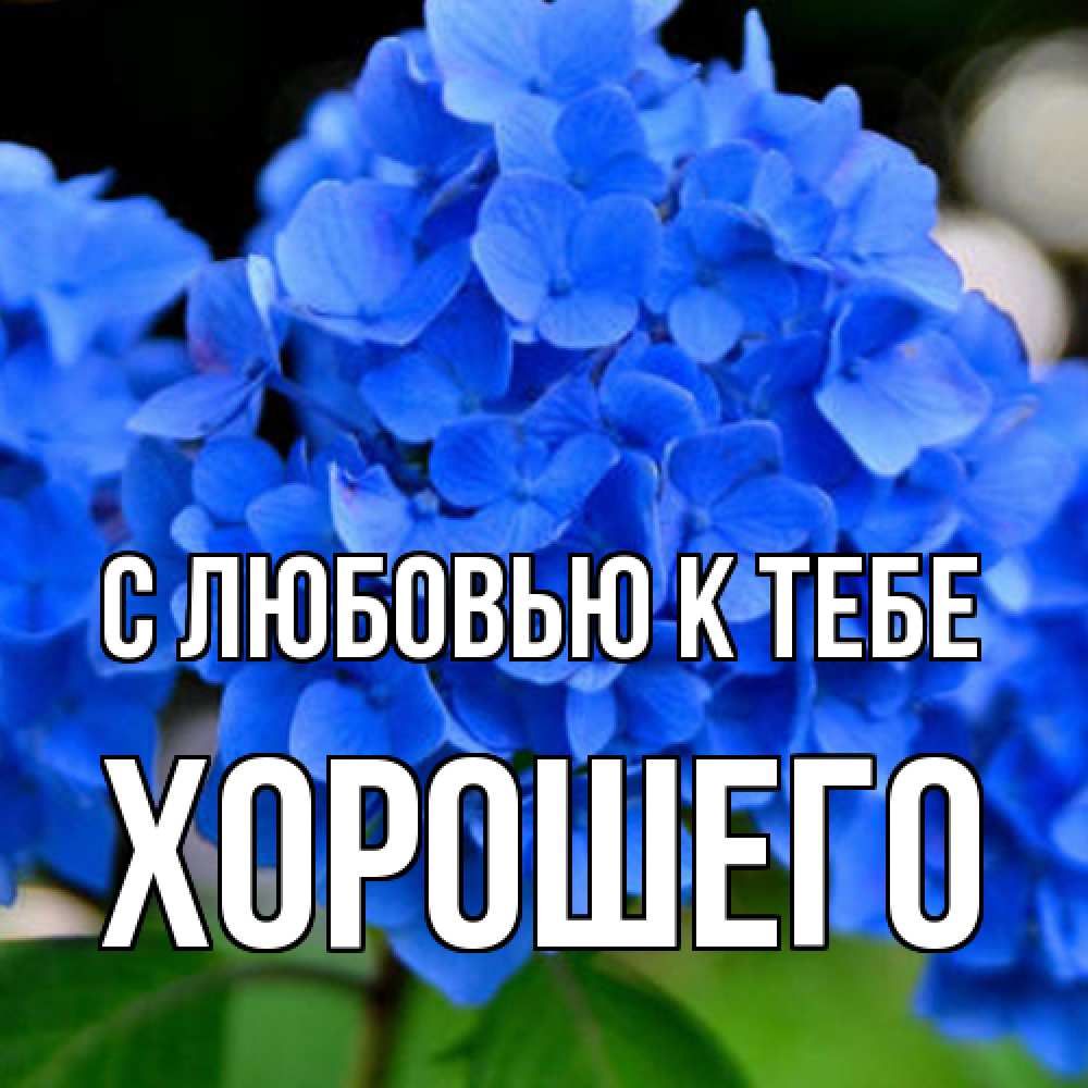 Открытка  с именем. Хорошего, С любовью к тебе  