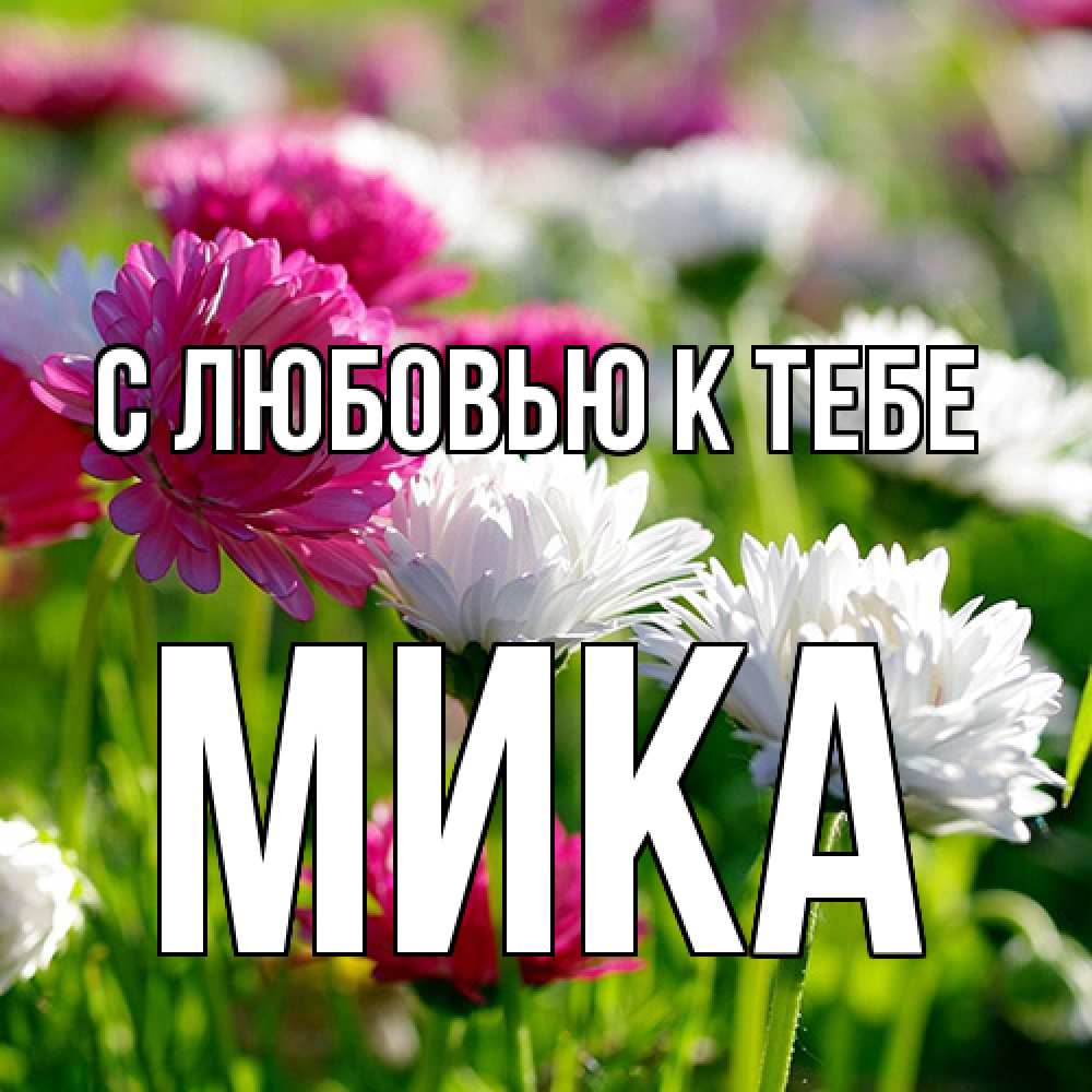 Открытка  с именем. мика, С любовью к тебе  