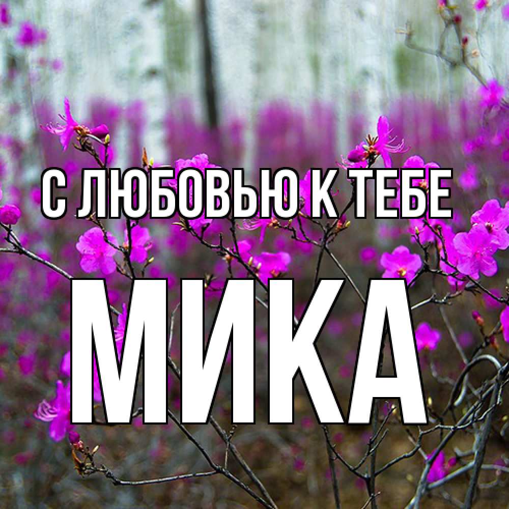 Открытка  с именем. мика, С любовью к тебе  