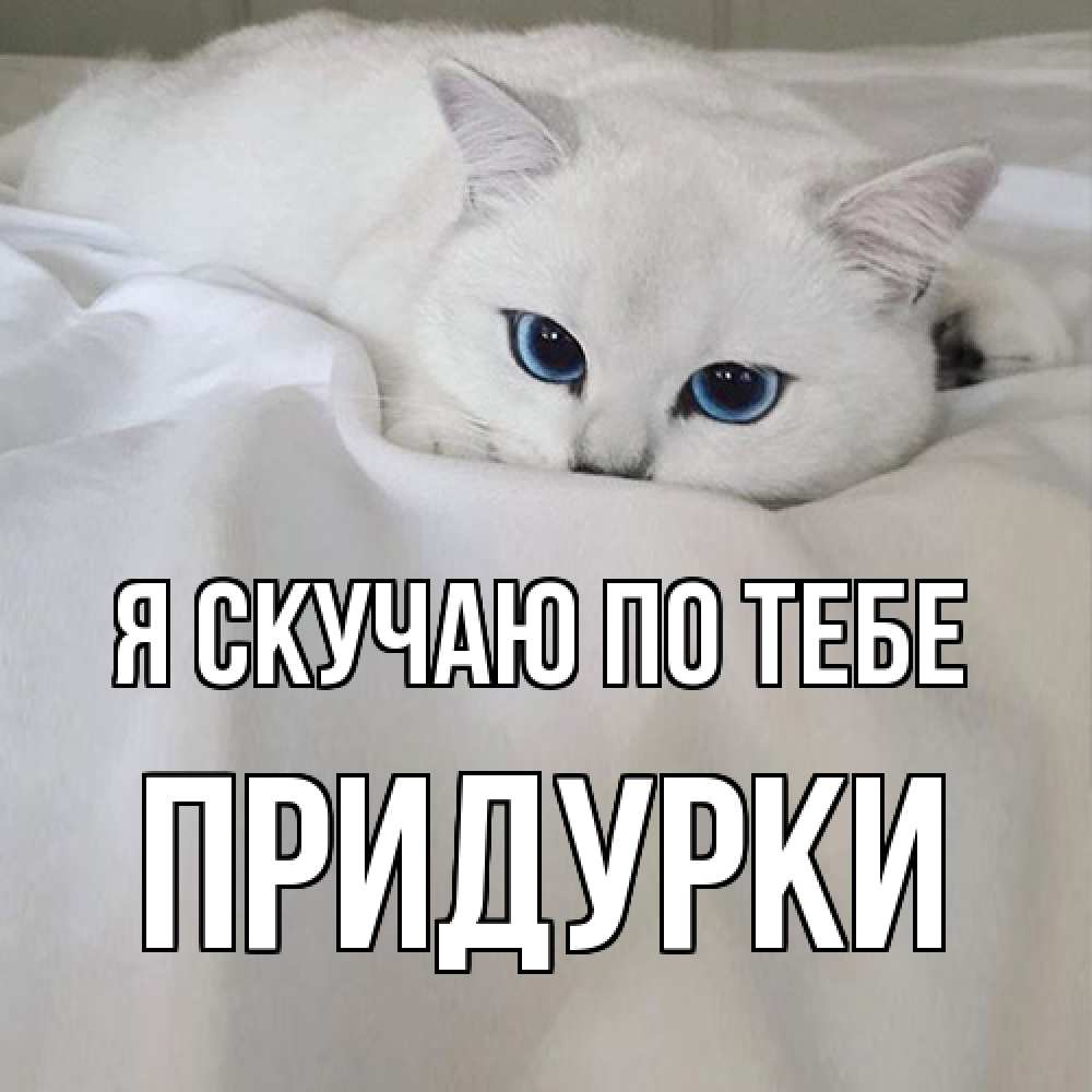 Открытка  с именем. Придурки, Я скучаю по тебе  