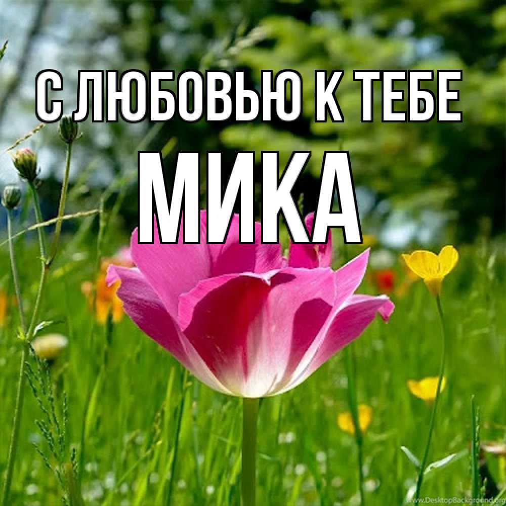 Открытка  с именем. мика, С любовью к тебе  