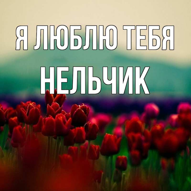 Картинка Я люблю тебя, Нельчик
