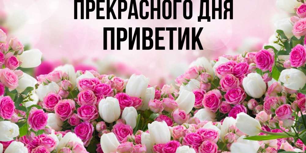 Открытка  с именем. приветик, Прекрасного дня  