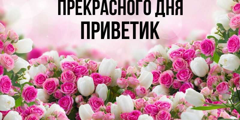 Картинка Прекрасного дня, приветик