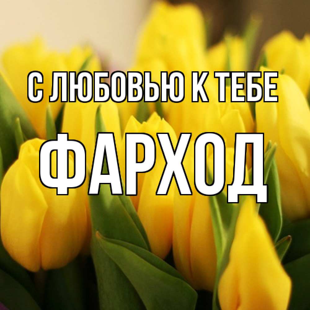 Открытка  с именем. Фарход, С любовью к тебе  