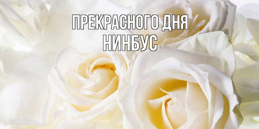 Открытка  с именем. нинбус, Прекрасного дня  