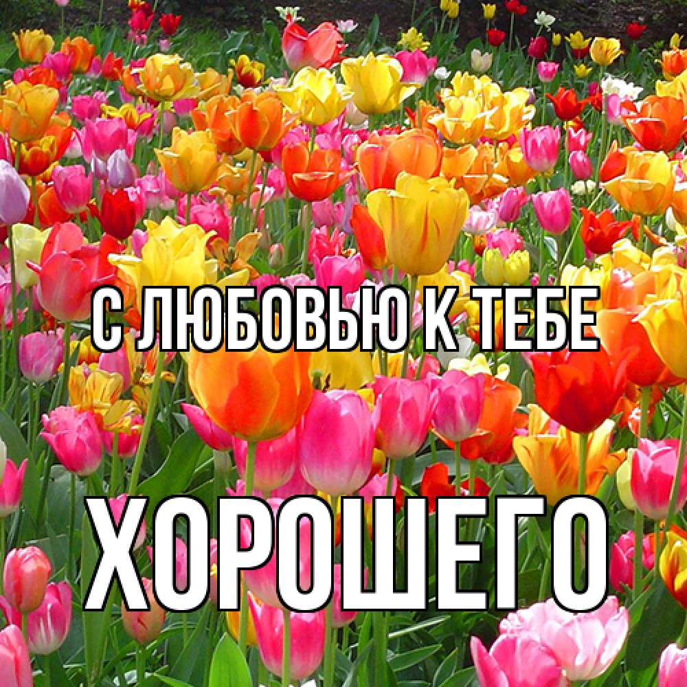 Открытка  с именем. Хорошего, С любовью к тебе  