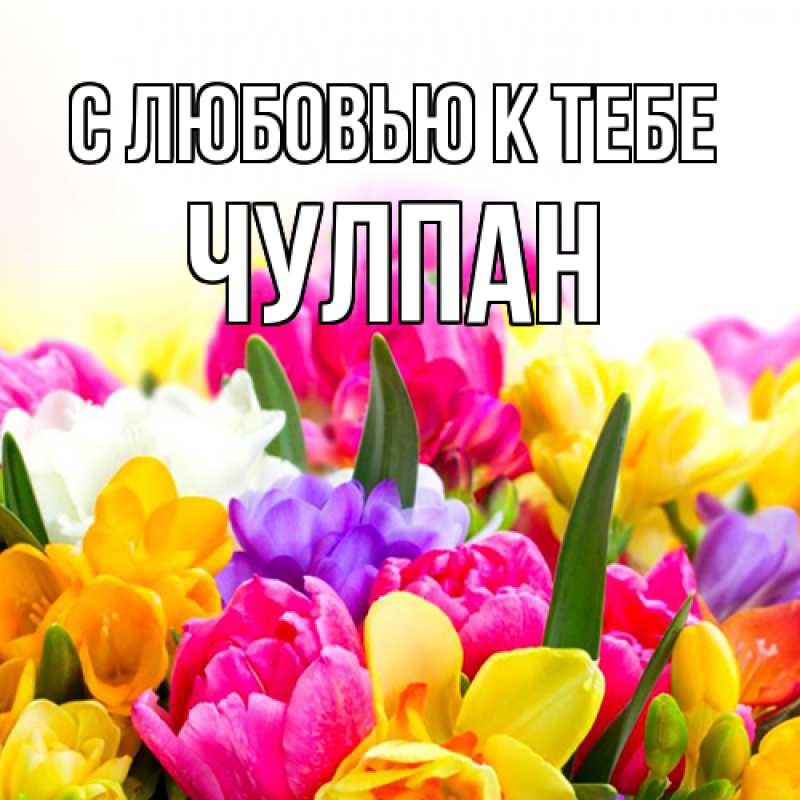 Картинка С любовью к тебе, Чулпан