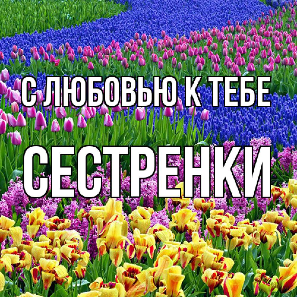 Открытка  с именем. Сестренки, С любовью к тебе  