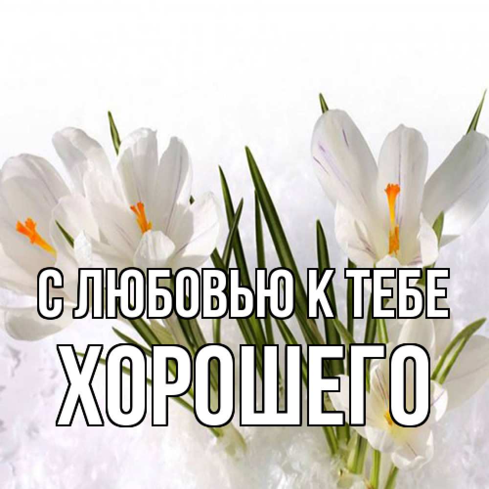 Открытка  с именем. Хорошего, С любовью к тебе  