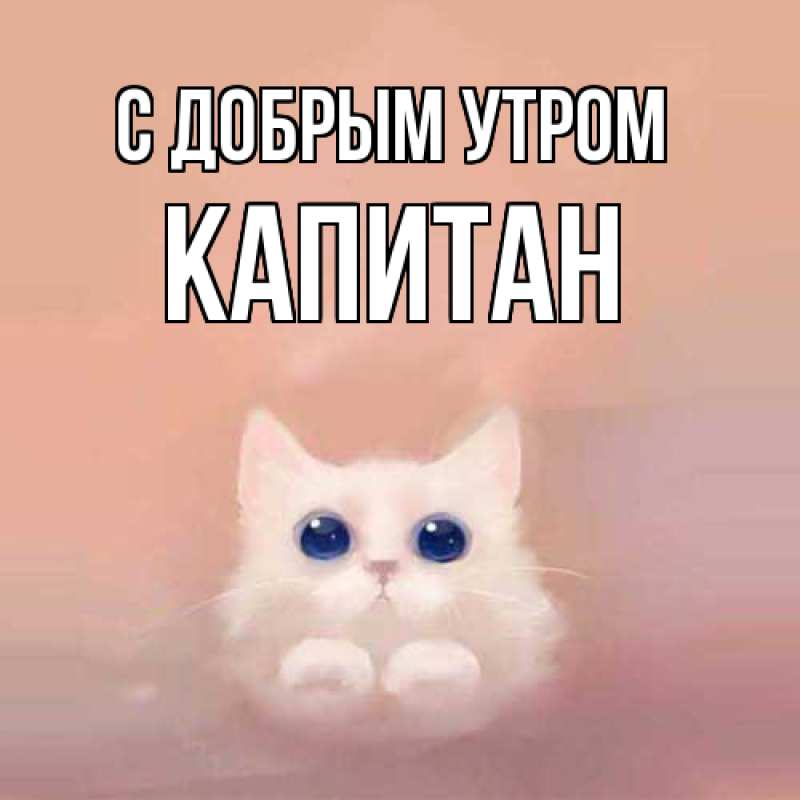 Картинка С добрым утром, Капитан