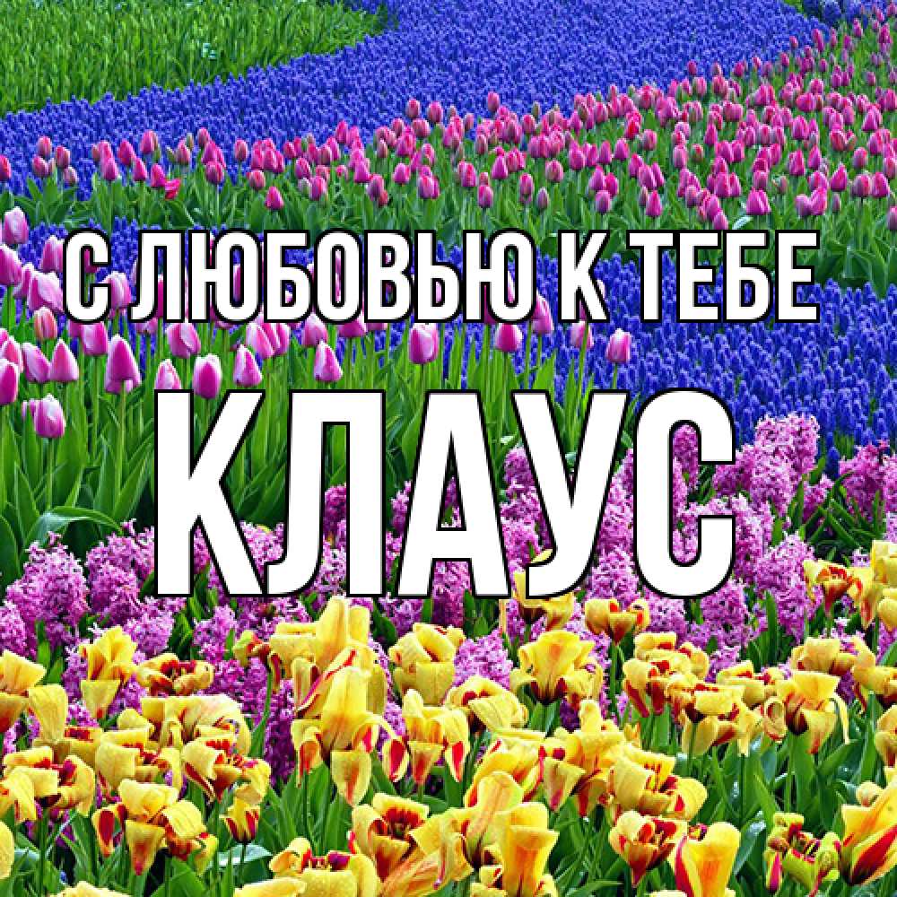 Открытка  с именем. Клаус, С любовью к тебе  