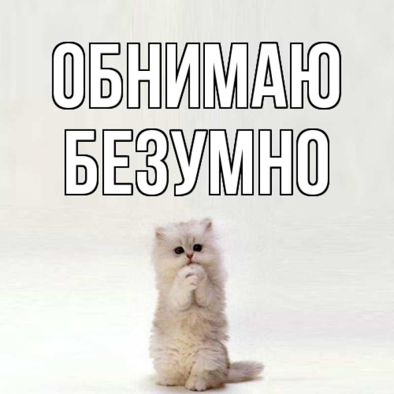 Картинка Обнимаю, безумно