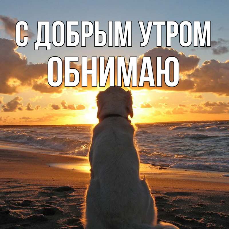 Картинка С добрым утром, Обнимаю